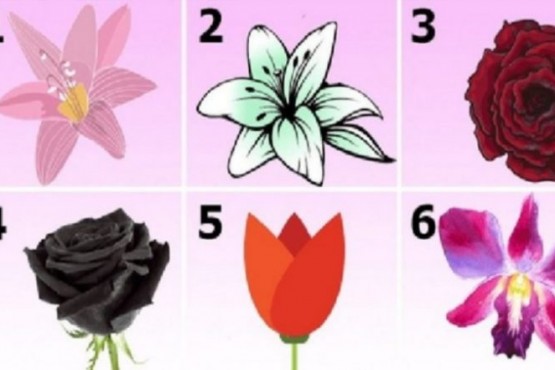 ¿Qué flor elegís?: el test psicológico que se meterá en lo más profundo de tus pensamientos