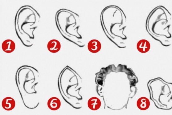 ¿Cómo son tus orejas?: el test que apunta directo a tu personalidad