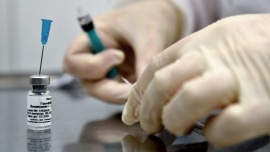 La vacuna rusa se empezará a distribuir "apenas toque suelo argentino"
