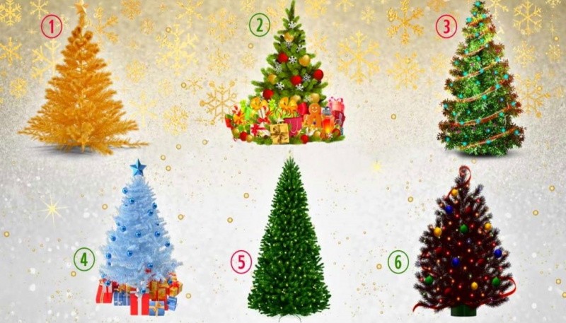 Test navideño: elegí un árbol y conocé más sobre tu personalidad