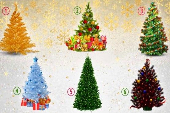 Test navideño: elegí un árbol y conocé más sobre tu personalidad