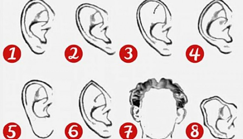 ¿Cómo es tu oreja?: la forma revelará aspectos íntimos de tu personalidad