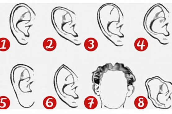 ¿Cómo es tu oreja?: la forma revelará aspectos íntimos de tu personalidad