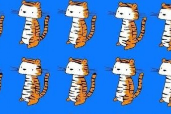 Reto viral: encontrar al tigre diferente entre los demás