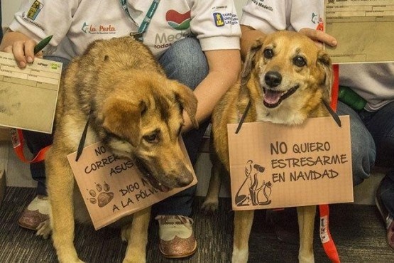 Pirotecnia: “La gente es muy inconsciente y egoísta”