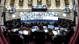 El aborto ya se debate en el Senado