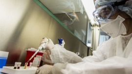 Coronavirus: el Malbrán confirmó la presencia de la cepa de Río de Janeiro