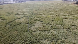 Aparecieron extrañas huellas de “extraterrestres” en un campo