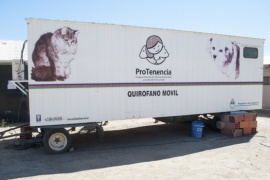 Caleta Olivia| El Centro de Sanidad Animal permanecerá en Zona de Chacras hasta el 27 de enero