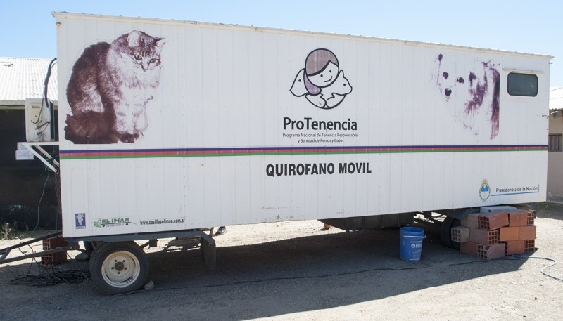 Caleta Olivia| El Centro de Sanidad Animal permanecerá en Zona de Chacras hasta el 27 de enero