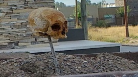 Puerto Madryn| Encontraron un cráneo clavado en una estaca