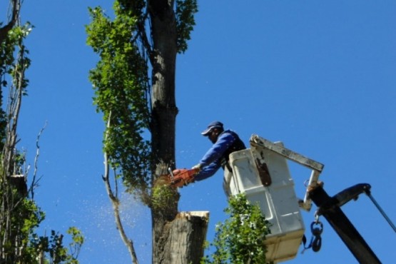 Trelew avanza en el embellecimiento de sus espacios públicos