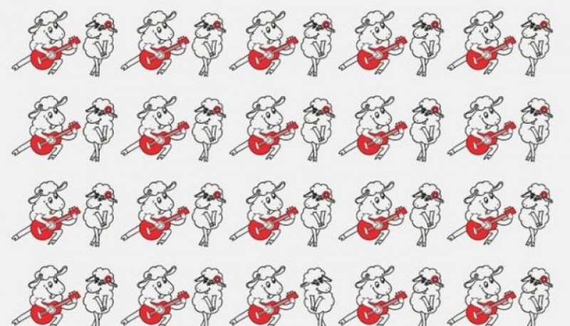 Reto viral: encontrá la pareja de ovejas que no logra seguir el ritmo
