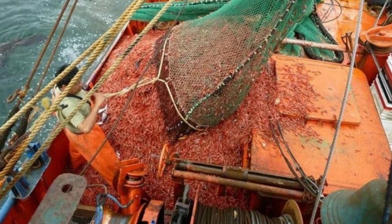 Las capturas de langostino en 2020 alcanzaron, hasta el mes de diciembre, las 158.697 toneladas
