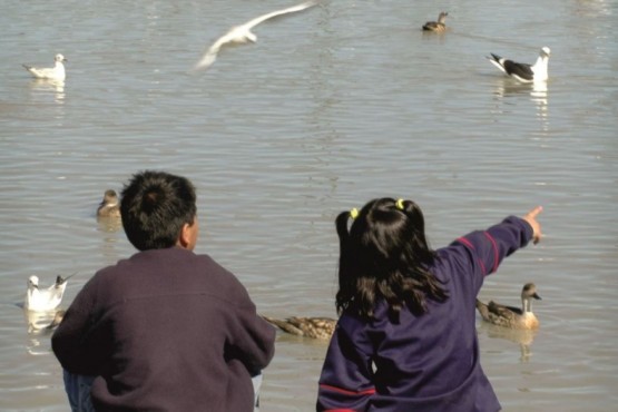 Las Reservas Naturales Urbanas aportan al ambiente local invaluables servicios ecosistémicos, además de ser espacios de contacto con la naturaleza.