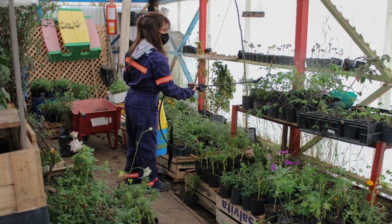 Río Gallegos| Vivero: paciencia, tiempo y perseverancia para dar color a la ciudad