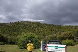 Chubut| Extinguen el incendio en el Parque Nacional Los Alerces