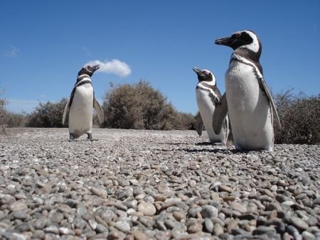 La naturaleza pura se puede disfrutar en las áreas protegidas del Corredor de la Ruta Azul