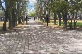 Empleado municipal advirtió que "hay especies de árboles que no se van a recuperar" en la plaza San Martín