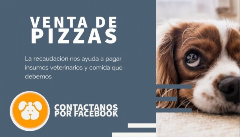 Amigos de 4 patas y Fundación Narices Frías organizan venta de pizzas. 