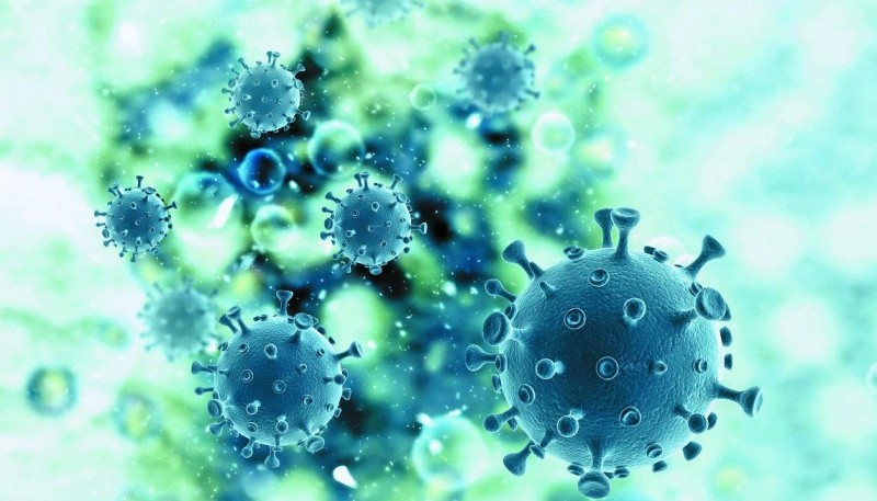 Coronavirus: Se registraron cuatro nuevos fallecidos 