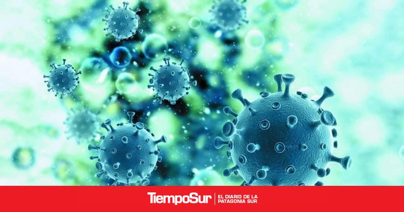 Coronavirus: 8.850 nuevos casos y 281 muertos en las últimas 24 horas - Vimarsana News