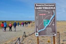 Las visitas a Cabo Vírgenes pasaron de 300 a 3 mil por semana