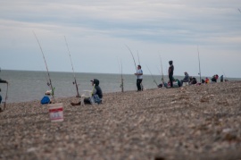 Con cupos llenos realizan el torneo de pesca de verano