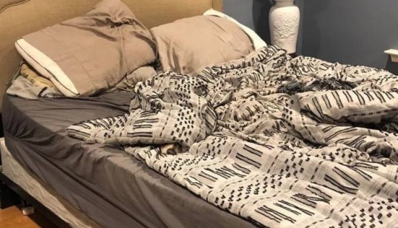 Reto viral: encontrar al perro entre las sábanas