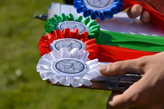 La Sociedad Rural Río Gallegos premió a los nuevos grandes campeones.