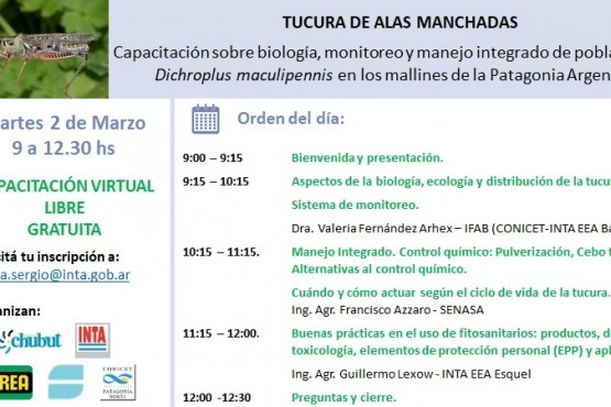 Capacitación gratuita sobre la biología, monitoreo y manejo integrado de poblaciones de tucuras en Esquel