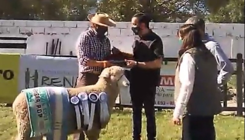 Grasso entregó el premio a la gran campeona hembra de la raza corrediale.