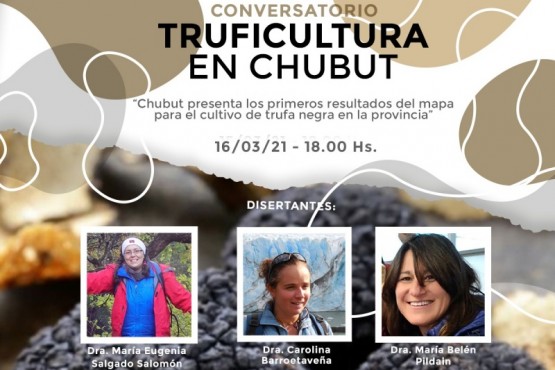 Chubut presenta los primeros resultados del mapa para el cultivo de trufa negra en la provincia