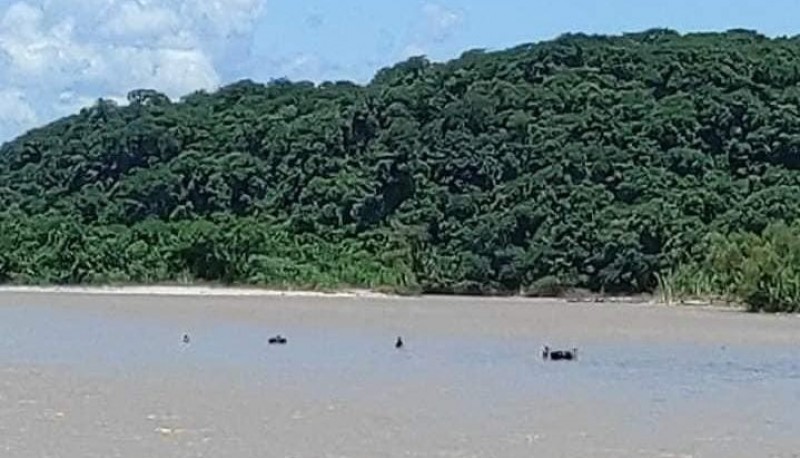 Nueva tragedia en el río Bermejo: murió un hombre y 2 desaparecieron al intentar cruzar ilegalmente