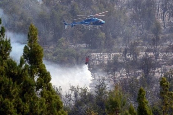 Extinguieron incendio en la reserva provincial el Turbio