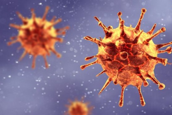 Coronavirus: revelaron que en 80 días la enfermedad podría mutar y vencer a los anticuerpos