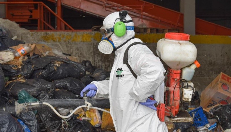 Trabajos de fumigación.