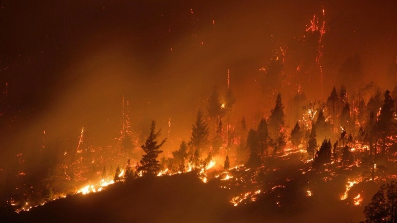 Foco de incendio.