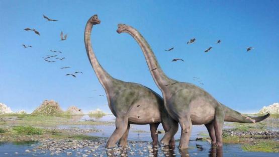 Encontraron embriones de un dinosaurio perfectamente conservados
