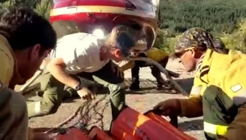 Brigadistas del PN Los Glaciares en Chubut. 