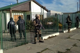 Incautaron plantas de marihuana en Puerto Santa Cruz