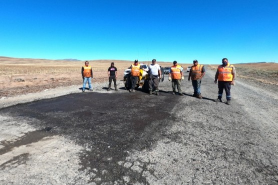 AGVP trabaja en varias tareas.