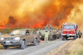 Más de 200 hectáreas de bosque, matorrales y pastizales destruidas en incendio forestal