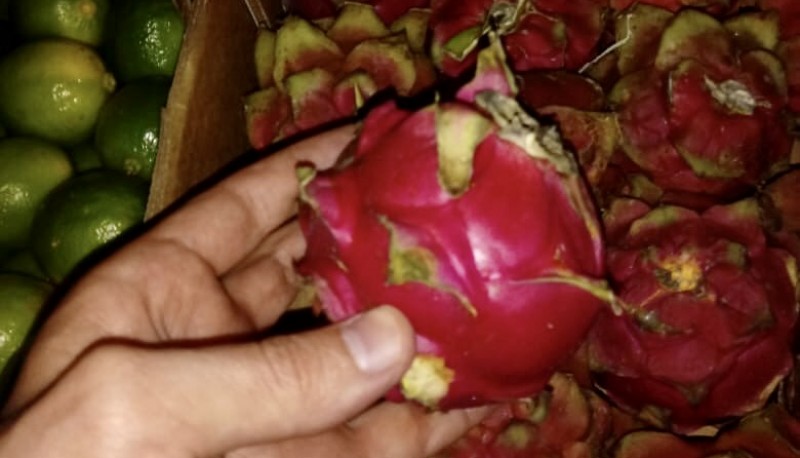 Las frutas estaban escondidas en el acoplado.