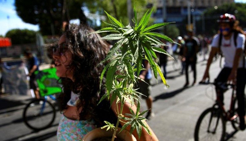Una manifestante pro cannabis. 