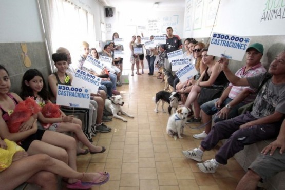 Operativo en Almirante Brown en donde se castra y educa en simultáneo. (Municipalidad de Almirante Brown, enero del 2020).