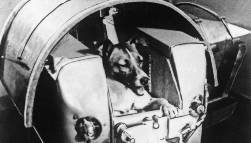 El satélite Sputnik 2 donde murió Laika era del tamaño de una lavadora (BBC).