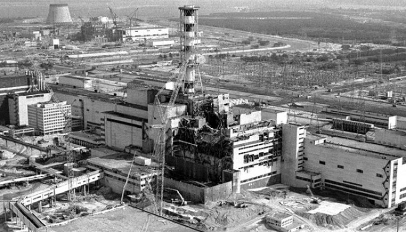 Desde arañas extrañas hasta ranas más oscuras, los animales mutantes de Chernobyl a 35 años del accidente