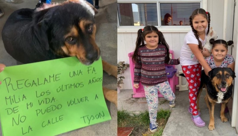 Tyson tuvo una nueva oportunidad para ser feliz con una familia