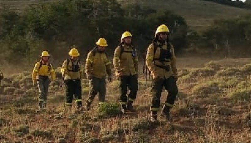 Los brigadistas caminaron por cuatro días.